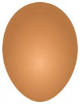 egg.png