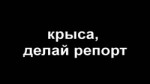 делай репорт.webm