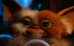 monstersmovies.com-Gremlins.jpg