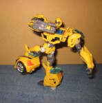 bumblebee posing.jpg