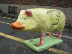 pigduck.jpg