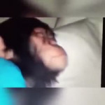 .mp4