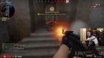 .mp4