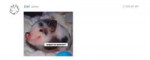147510.png.PNG