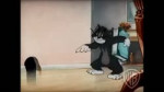 15598883327800.webm