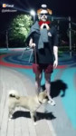 15508476340300.mp4