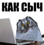 15386507964460.jpg