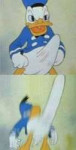 25.JPG