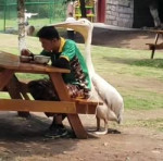 seGF9C.mp4