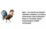 14110505889910.jpg
