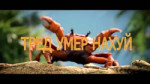 15470684982790.mp4