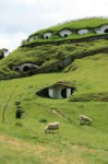 hobbit-underground-house3.jpg