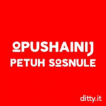 opushsosnul.mp4