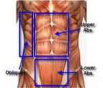 abdomen-300x257.jpg