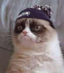 1482211874grumpy-cat-super-bowl.jpg