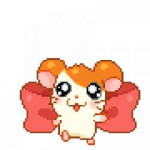 hamtaro-transparent-baby-3.gif