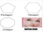 kapelkanooo.png