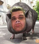 pig.jpg