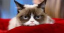 635992707959380360-132703322308-grumpy-cat.w1200.h630