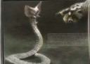 1459734551148989471