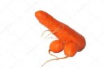 depositphotos7664072-stock-photo-carrot-as-a-penis.jpg