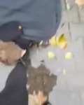 Boot Slave..mp4