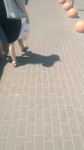 1528726193992.jpeg