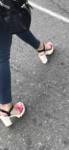 IMG0814.jpg