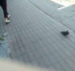 IMG20180719121943.jpeg