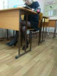 1547975859633.jpeg