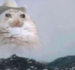котбой.png