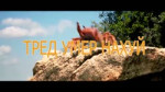15553579324780.mp4