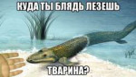 hoXi4GSc-zk.jpg
