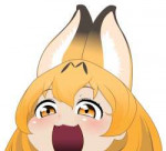 ywWY3QeXQYg.jpg