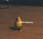 0BqNfUDTCv8.jpg