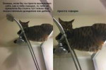 15727209327640.jpg