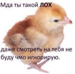 15284119550980.jpg