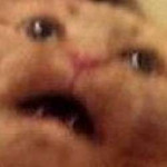 1573839237139.png