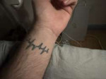 IMG0209.jpeg