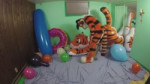 Playing with my squeaky co puncing tiger.mp4