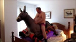 Donkey Sweet Zeppelin bounce.mp4