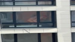 IMG0085.mov