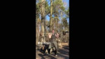 17419677623210 (1).mp4