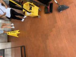 IMG1016.jpeg
