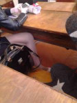 IMG20170504091505.jpg