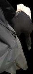 LS20250504104003.png