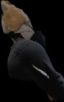 LS20250423153902.png