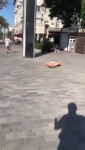 BYVAETITAKOE-nashobmen.org.mov