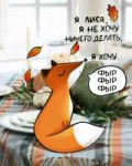 F41DF24E-FA6B-46A0-836F-4F71DEB6C6EE.jpeg