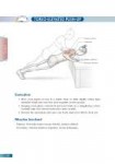 Bodyweight-strength-training-anatomy-your-illustrated-guide[...].jpg